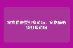 宠物猫需要打疫苗吗，宠物猫必须打疫苗吗