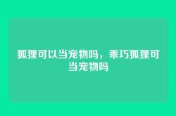 狐狸可以当宠物吗，乖巧狐狸可当宠物吗