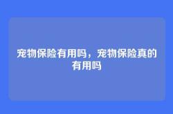 宠物保险有用吗，宠物保险真的有用吗