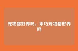 宠物猪好养吗，乖巧宠物猪好养吗
