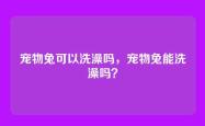 宠物兔可以洗澡吗，宠物兔能洗澡吗？