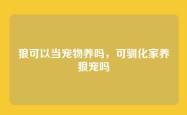 狼可以当宠物养吗，可驯化家养狼宠吗