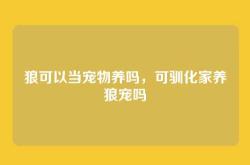 狼可以当宠物养吗，可驯化家养狼宠吗