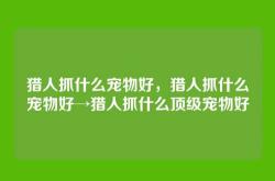 猎人抓什么宠物好，猎人抓什么宠物好→猎人抓什么顶级宠物好