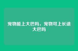 宠物能上大巴吗，宠物可上长途大巴吗