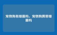 宠物狗有细菌吗，宠物狗携带细菌吗