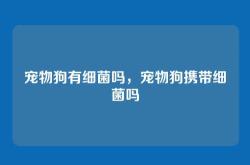 宠物狗有细菌吗，宠物狗携带细菌吗