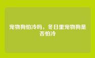 宠物狗怕冷吗，冬日里宠物狗是否怕冷