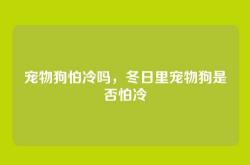 宠物狗怕冷吗，冬日里宠物狗是否怕冷