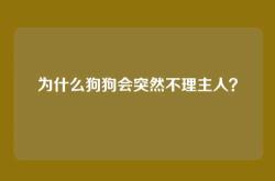 为什么狗狗会突然不理主人？