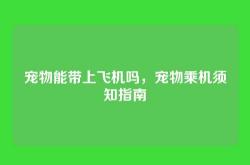 宠物能带上飞机吗，宠物乘机须知指南