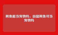 鳄鱼能当宠物吗，凶猛鳄鱼可当宠物吗