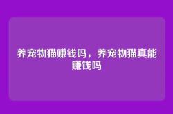 养宠物猫赚钱吗，养宠物猫真能赚钱吗