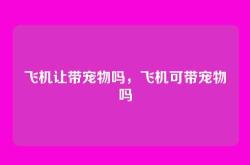 飞机让带宠物吗，飞机可带宠物吗