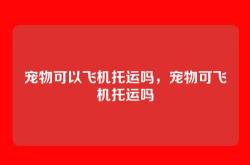 宠物可以飞机托运吗，宠物可飞机托运吗