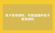兔子是宠物吗，可爱温顺的兔子是宠物吗