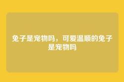 兔子是宠物吗，可爱温顺的兔子是宠物吗