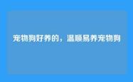 宠物狗好养的，温顺易养宠物狗