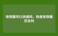 宠物猫可以快递吗，快递宠物猫安全吗