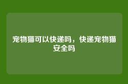 宠物猫可以快递吗，快递宠物猫安全吗