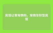 宾馆让带宠物吗，宠物友好型宾馆