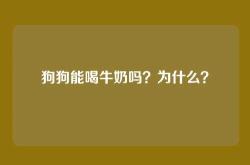 狗狗能喝牛奶吗？为什么？