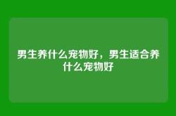 男生养什么宠物好，男生适合养什么宠物好
