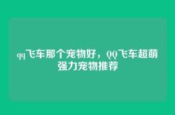qq飞车那个宠物好，QQ飞车超萌强力宠物推荐