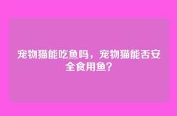 宠物猫能吃鱼吗，宠物猫能否安全食用鱼？
