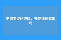 宠物狗能吃饭吗，宠物狗能吃饭吗