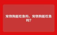 宠物狗能吃鱼吗，宠物狗能吃鱼吗？