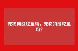宠物狗能吃鱼吗，宠物狗能吃鱼吗？
