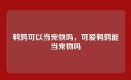 鹌鹑可以当宠物吗，可爱鹌鹑能当宠物吗