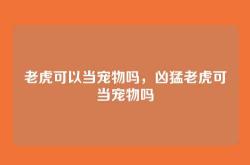 老虎可以当宠物吗，凶猛老虎可当宠物吗