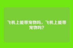 飞机上能带宠物吗，飞机上能带宠物吗？