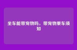 坐车能带宠物吗，带宠物乘车须知