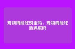 宠物狗能吃鸡蛋吗，宠物狗能吃熟鸡蛋吗
