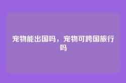宠物能出国吗，宠物可跨国旅行吗