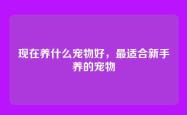 现在养什么宠物好，最适合新手养的宠物