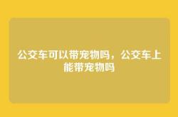 公交车可以带宠物吗，公交车上能带宠物吗