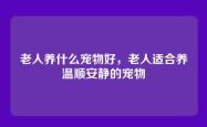 老人养什么宠物好，老人适合养温顺安静的宠物