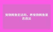 宠物鳄鱼犯法吗，养宠物鳄鱼是否违法