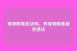 宠物鳄鱼犯法吗，养宠物鳄鱼是否违法
