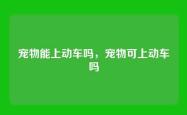 宠物能上动车吗，宠物可上动车吗