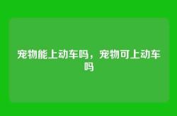 宠物能上动车吗，宠物可上动车吗