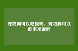 宠物狗可以吃饭吗，宠物狗可以吃家常饭吗