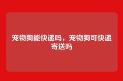 宠物狗能快递吗，宠物狗可快递寄送吗