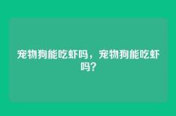 宠物狗能吃虾吗，宠物狗能吃虾吗？