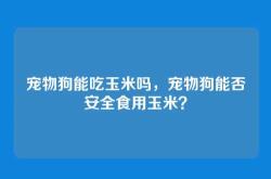 宠物狗能吃玉米吗，宠物狗能否安全食用玉米？