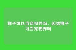 狮子可以当宠物养吗，凶猛狮子可当宠物养吗